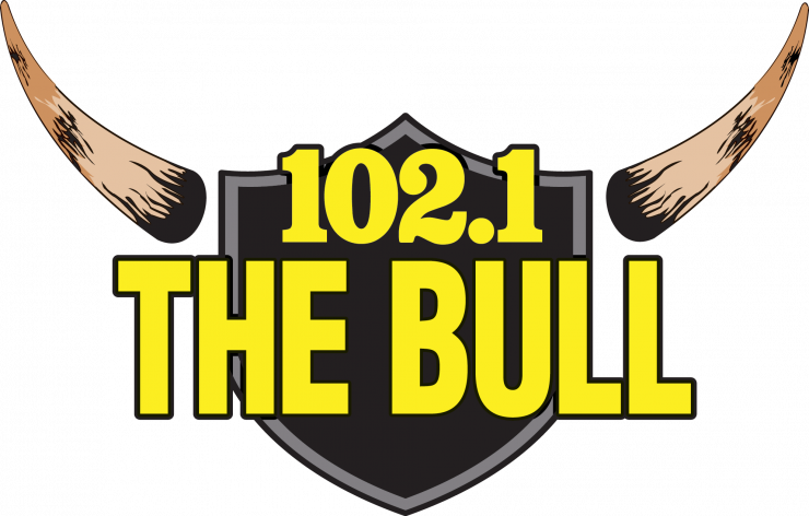 TheBull_1021_LOGOCOLOR.png